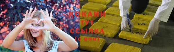 ПСИЛОЦИБИНОВЫЕ ГРИБЫ Новокубанск