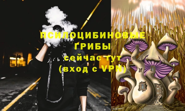 ПСИЛОЦИБИНОВЫЕ ГРИБЫ Новокубанск