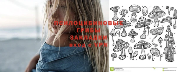 синтетический гашиш Новозыбков