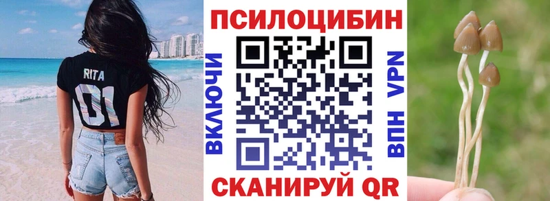 Псилоцибиновые грибы Psilocybine cubensis  МЕГА вход  Суоярви  купить  